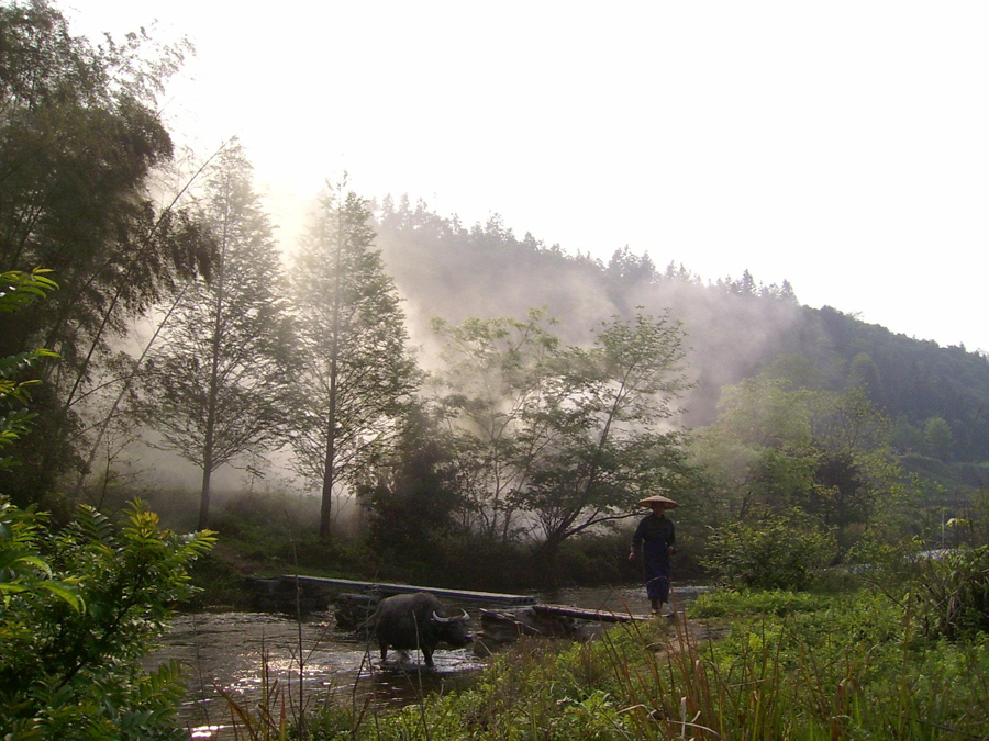 梅溪煙雨