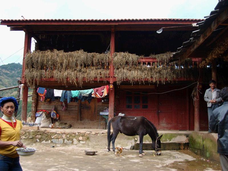 輕木山自然村