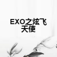 EXO之炫飛天使