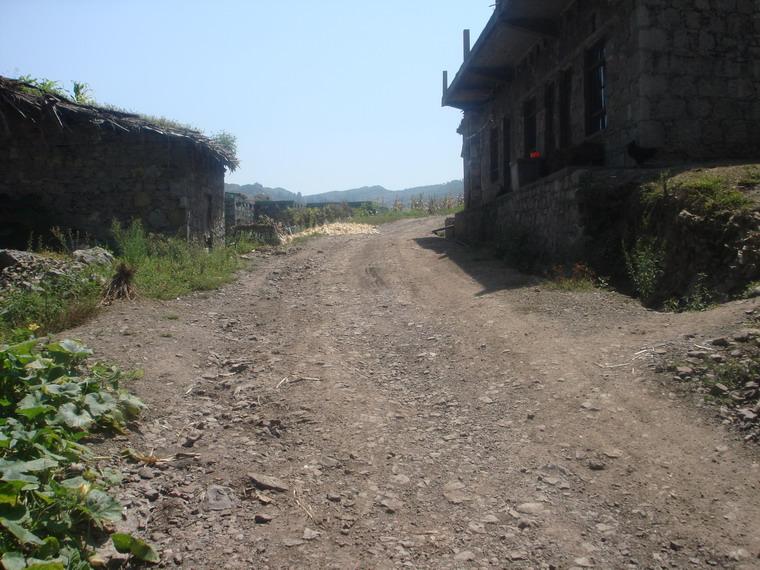 新地方村道路