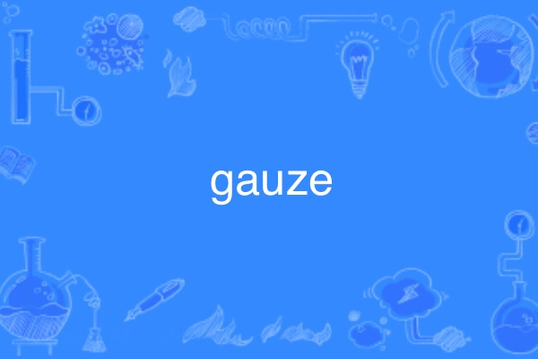 Gauzy(英語單詞)