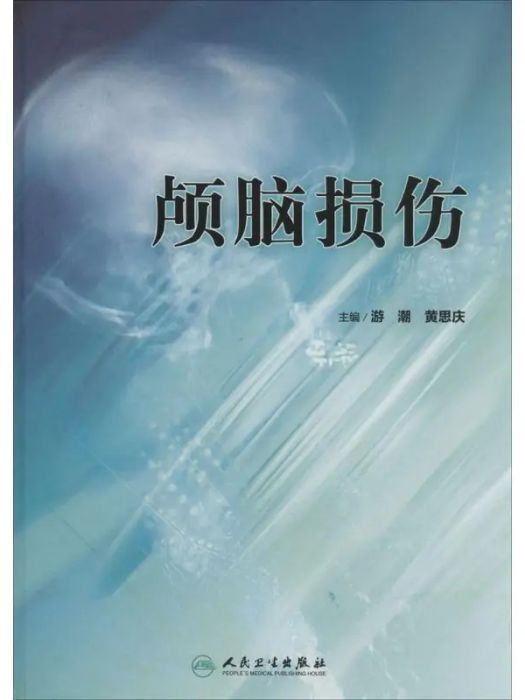 顱腦損傷(2014年人民衛生出版社出版的圖書)