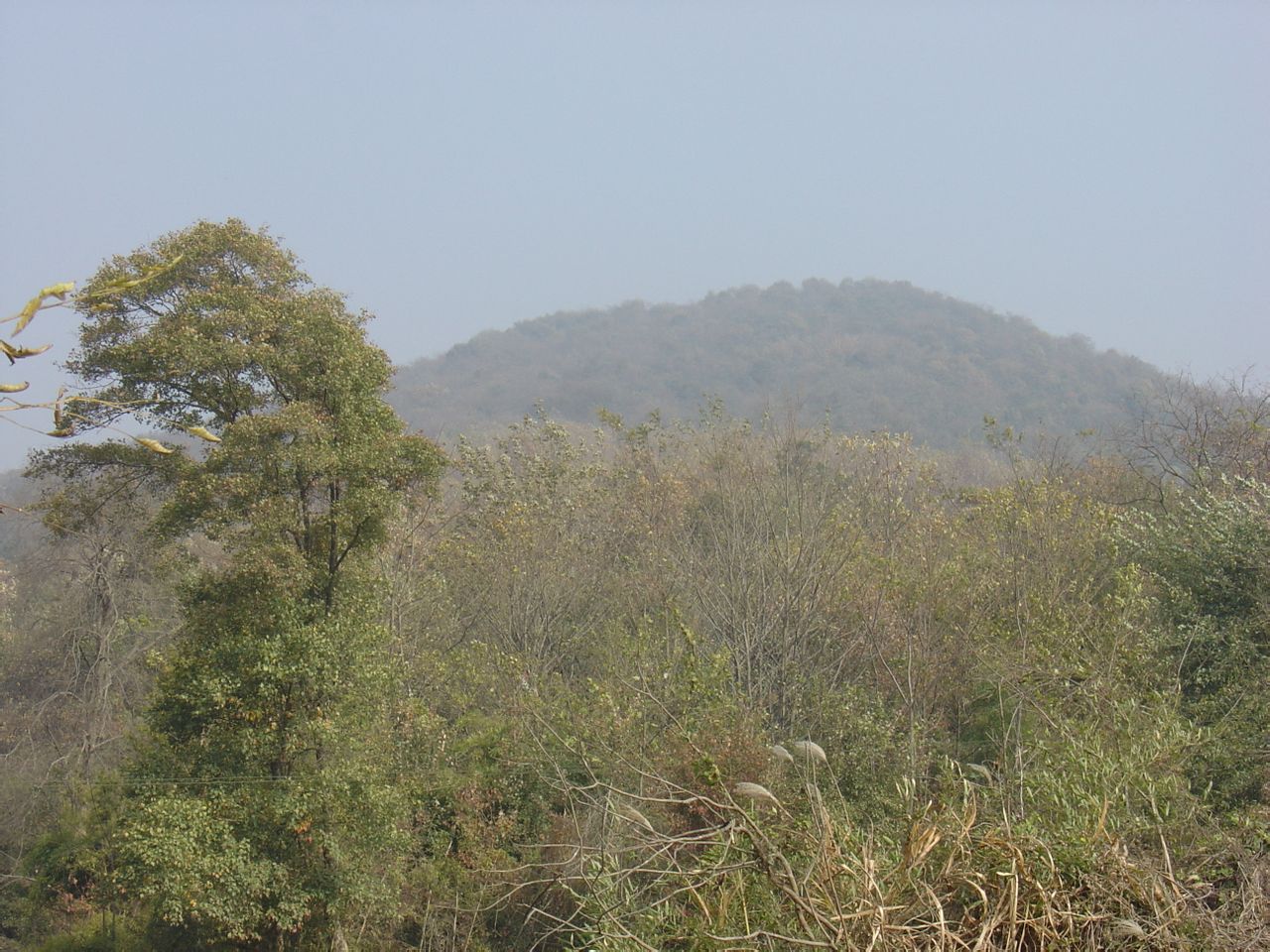 荊門靈鷲山