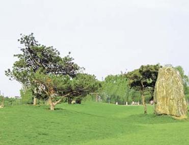 肥城市康王河濕地公園