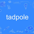 tadpole