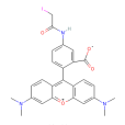 四甲基羅丹明-4-碘乙醯胺