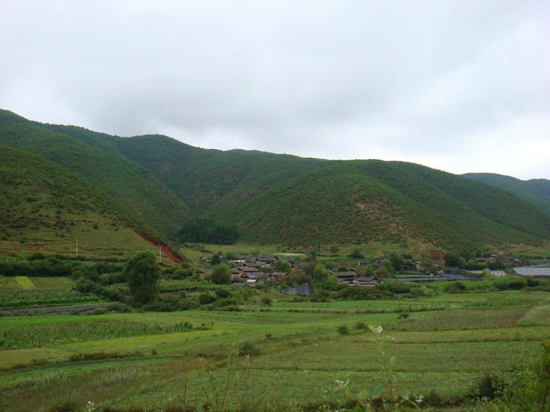 龍山五村