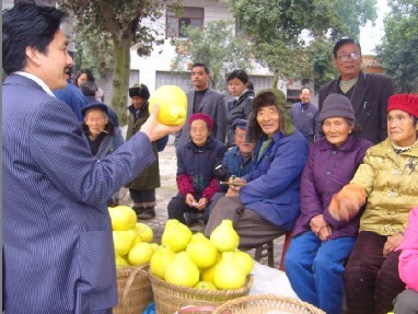 陳食街道