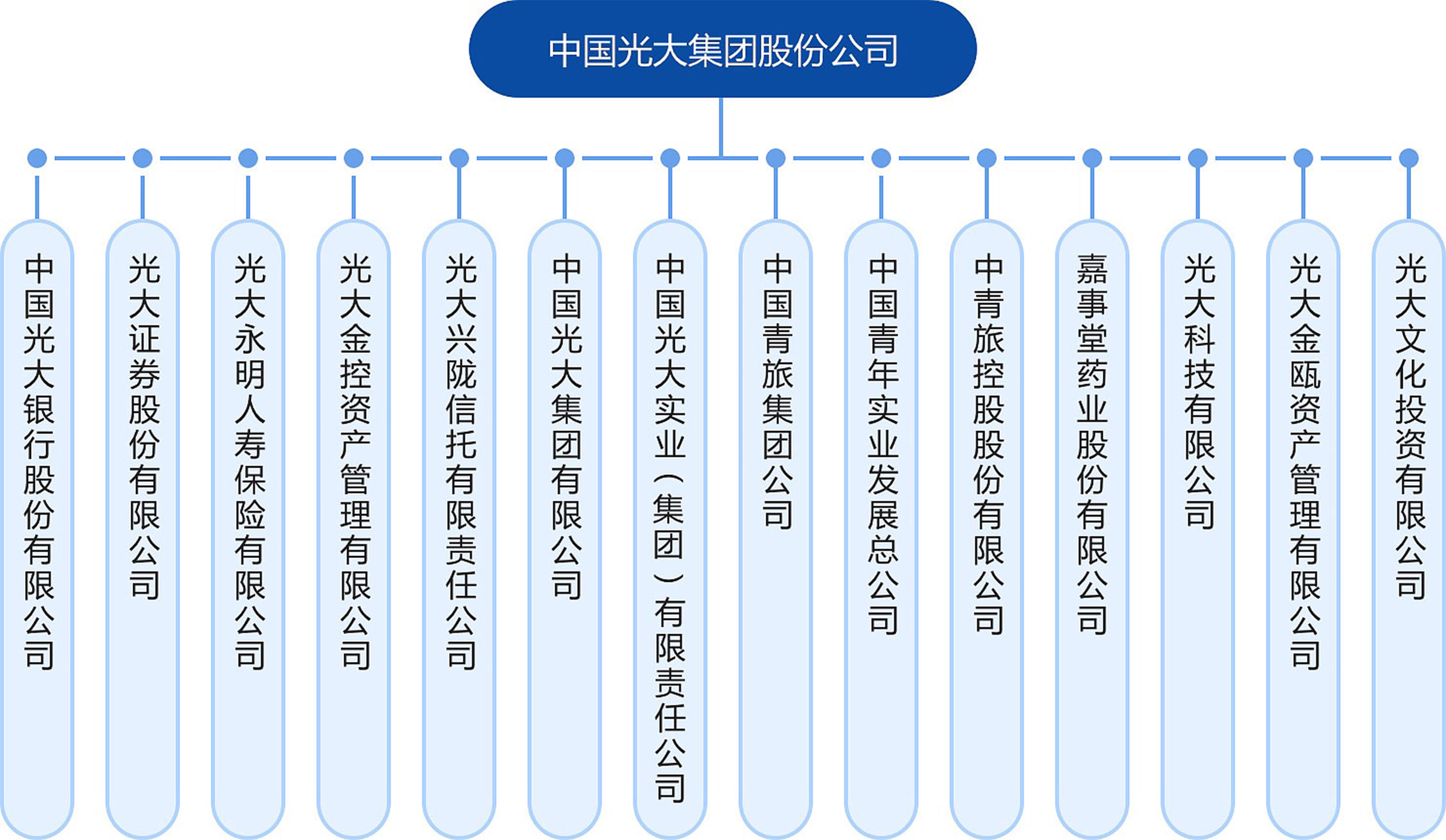 中國光大集團組織架構