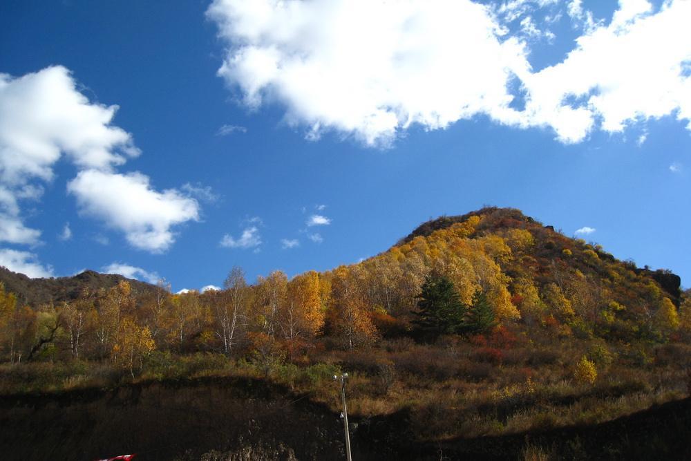 甘肅壽鹿山國家森林公園