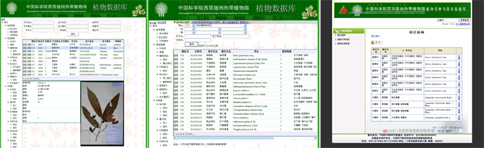 版納植物園植物引種與保育資料庫