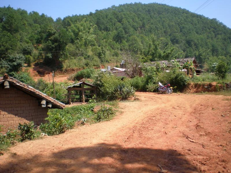 大水井自然村(雲南省臨滄市鳳慶縣勐佑鎮下轄村)