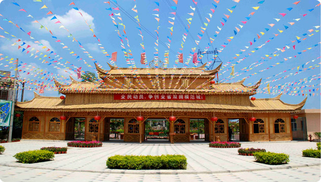 庵後村(廣東揭陽市揭東區埔田鎮下轄村)