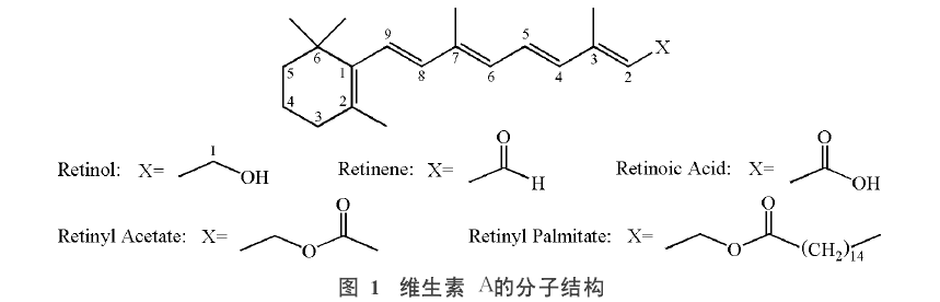 維生素A