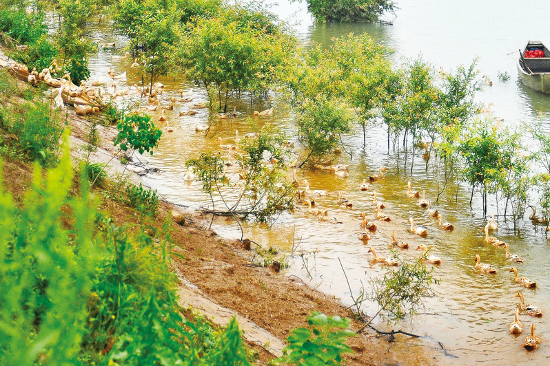 水下自然村