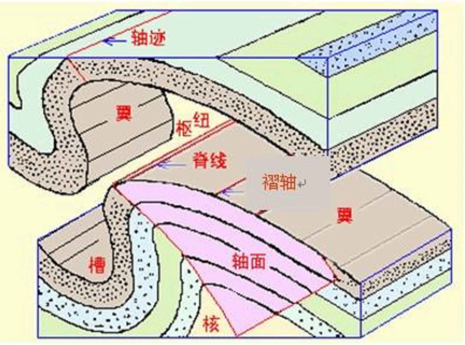 褶皺樞紐