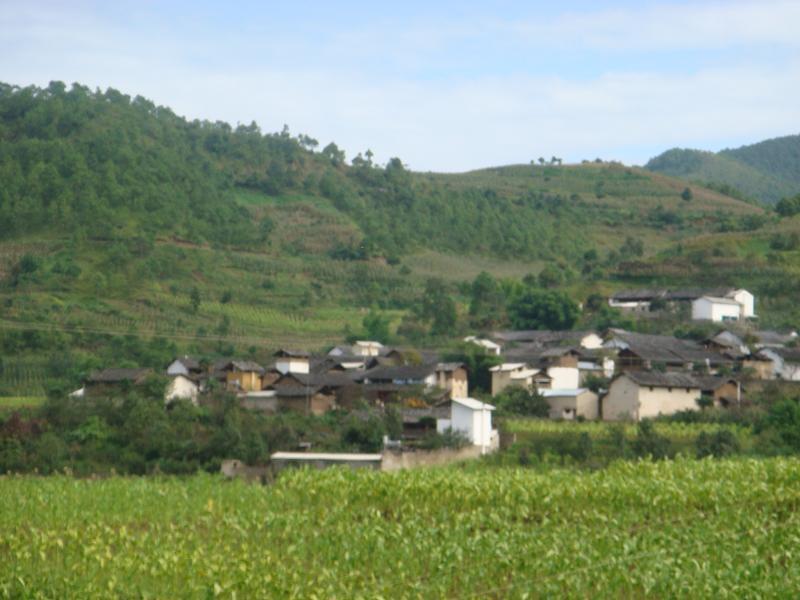 菖蒲塘村(雲南省保山市隆陽區蒲縹鎮菖蒲塘村)