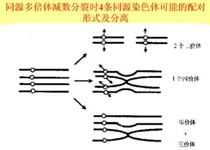 驟變說