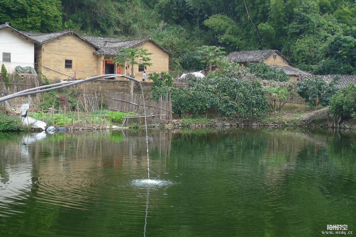 黃坑村(浙江慶元縣隆宮鄉下轄村)