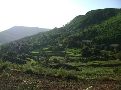 屋基村自然村