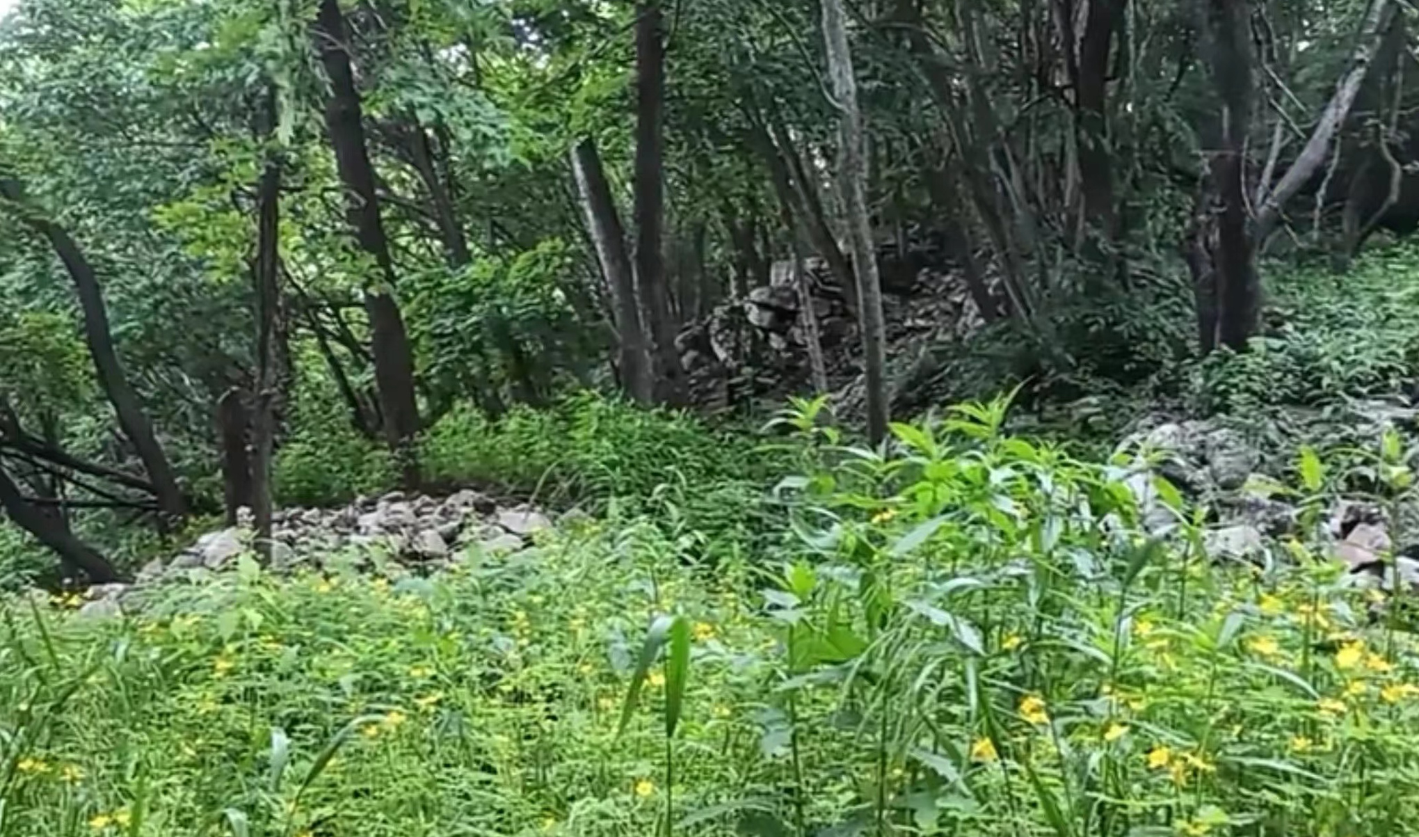 霸王朝山城遺址