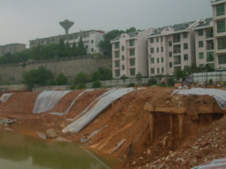 高升金典實景圖