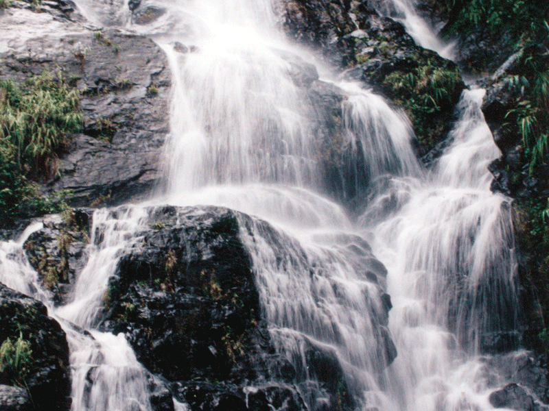 龍灣自然生態村