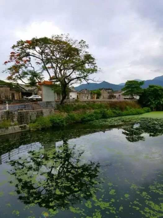 石路村(浙江省溫州市蒼南縣蘆浦鎮下轄村)