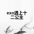 exo遇上十二公主