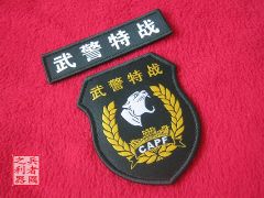 雪豹突擊隊(武警反恐突擊車方隊)