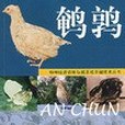 鵪鶉特種經濟動物規模養殖關鍵技術叢書