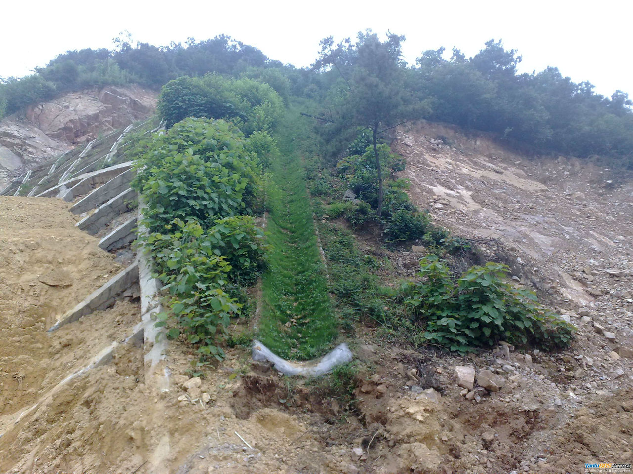 GP生態水溝