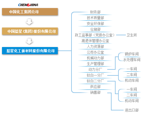 藍星化工新材料股份有限公司廣西分公司