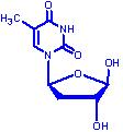 2&#39;-脫氧-L-胸苷