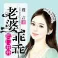 老婆乖乖，把門開開