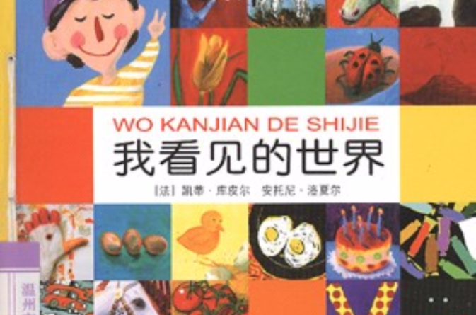 我看見的世界(2007年庫皮爾和洛夏爾所著圖書)