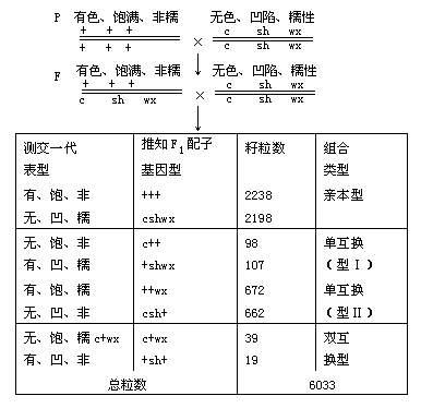 三點測交