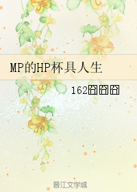 MP的HP杯具人生