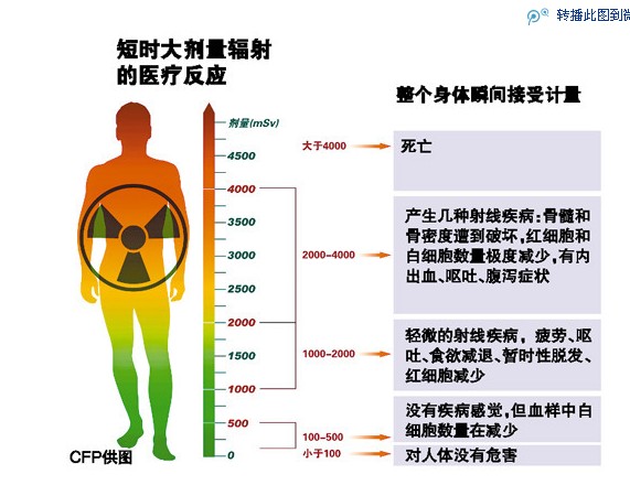 輻射劑量