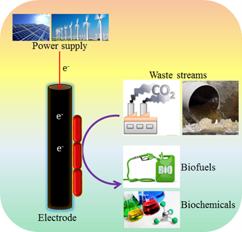 微生物電化學技術