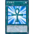 遊戲王TCG禁卡表