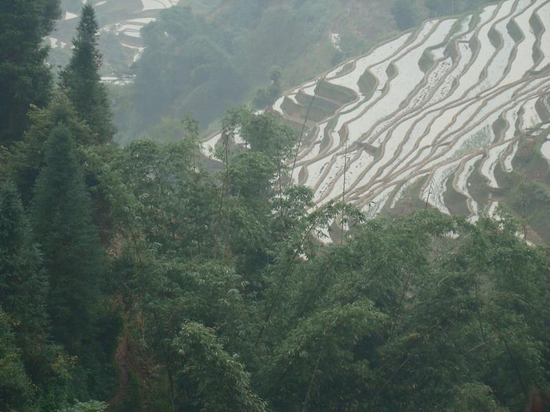 朋普新寨村