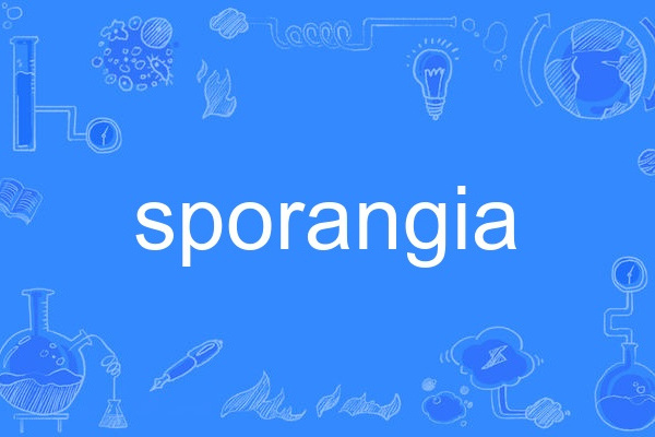 sporangia