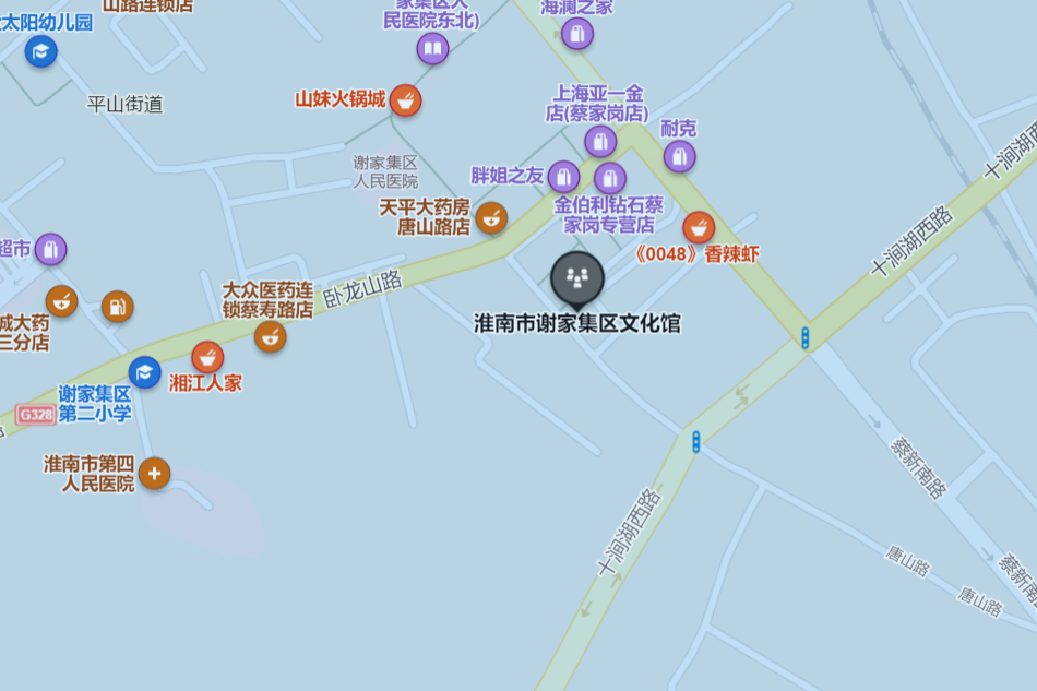 淮南市謝家集區文化館