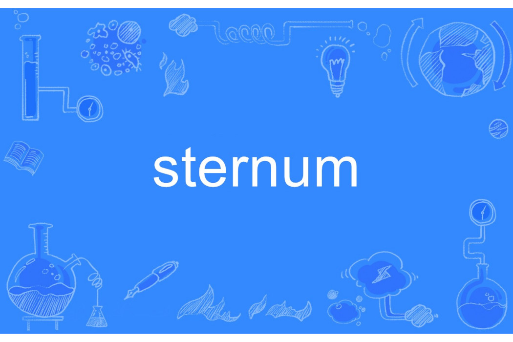 sternum