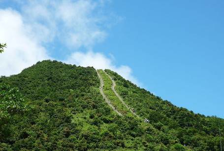 廣東梧桐山國家森林公園