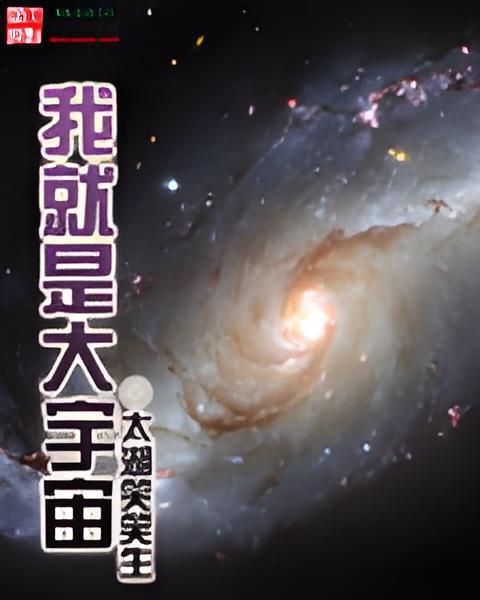 我就是大宇宙