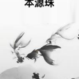 本源珠(四十五度創作的玄幻奇幻類網路小說)