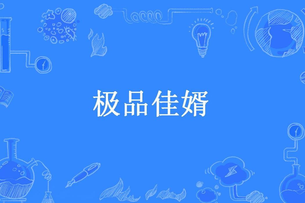 極品佳婿(梅八爺所著小說)