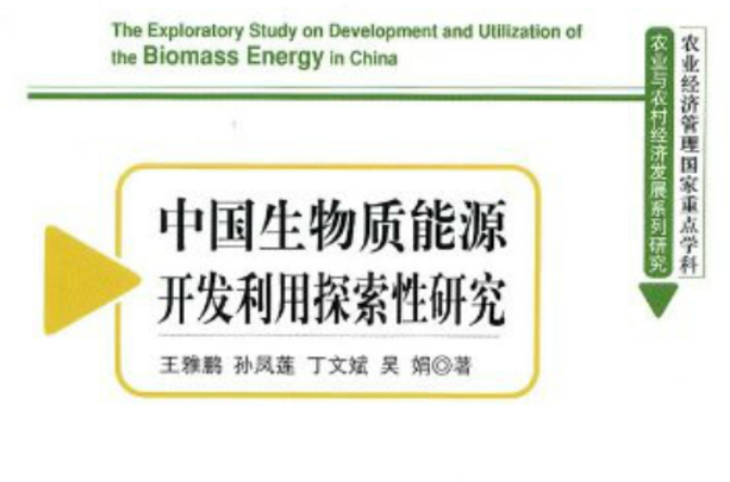 中國生物質能源開發利用探索性研究